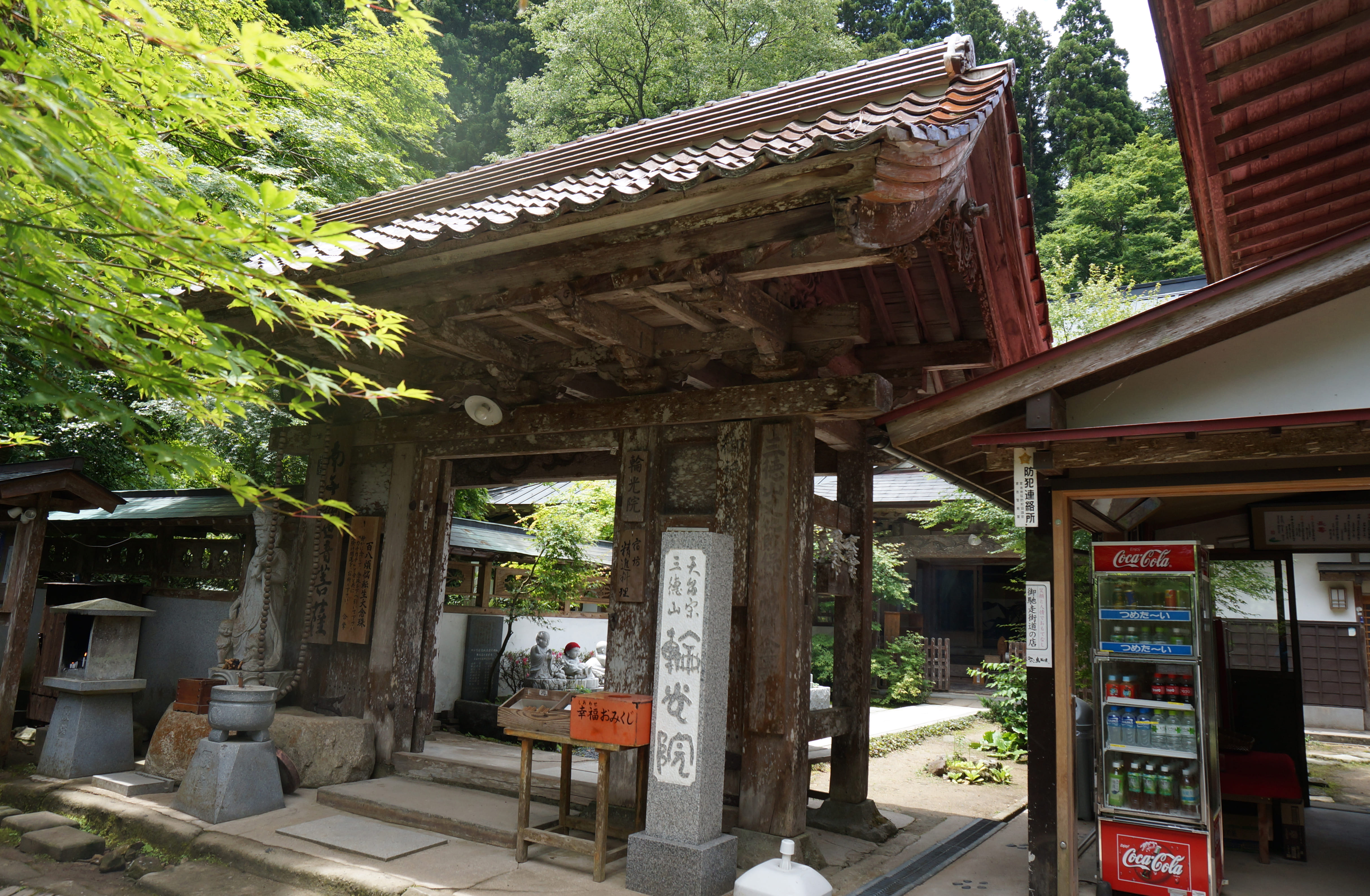 Rinkoin image